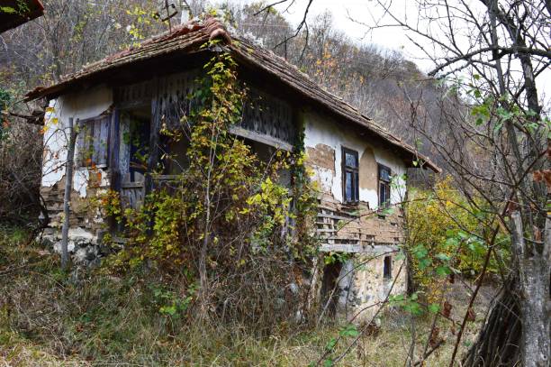 istock an old ruined, abandoned village house 1189715324