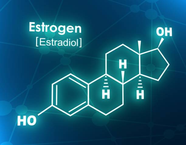 Formula of hormone estrogen. stock photo