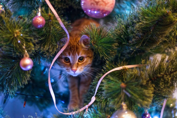 istock Ginger kitten sitting on the Christmas tree, Christmas Background. 1189721063