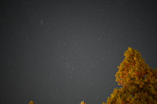 istock autumn leaves at simizu 1189721176