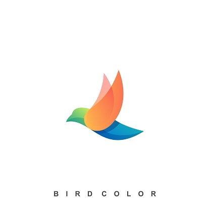 Bird Colorful Illustration Vector Template. Suitable for Creative Industry, Multimedia, entertainment, Educations, Shop, and any related business.