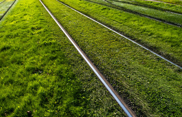 istock Shiny Steel Rails Through Green Grass Meadow 1189727247