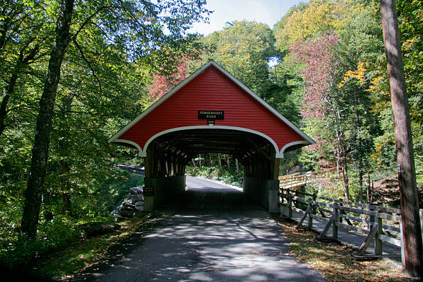 istock Covered Bridge at Franconia State Park 118972801