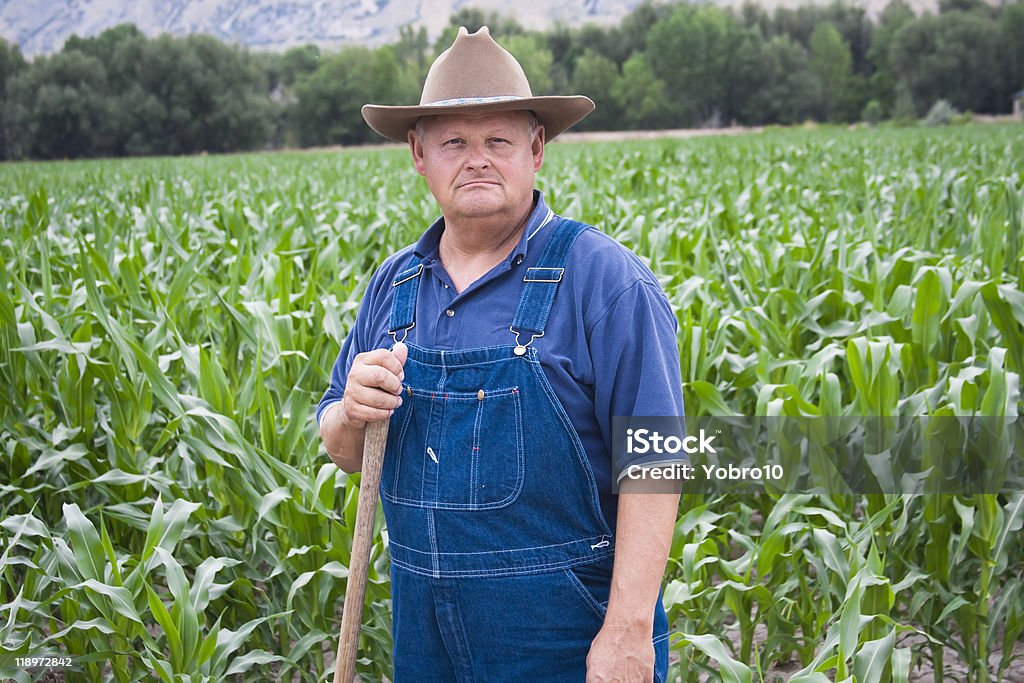 늙음 Farmer 작업 그릐 필드 - 로열티 프리 멜빵 바지 스톡 사진