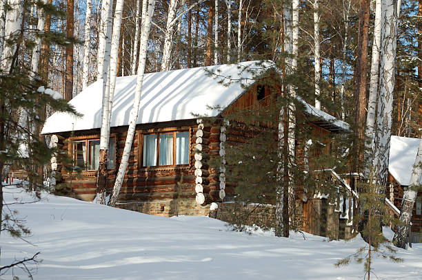 istock The house in wood 118973079