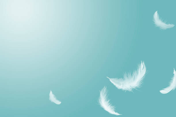 istock Soft white feathers floating in the air 1189731535