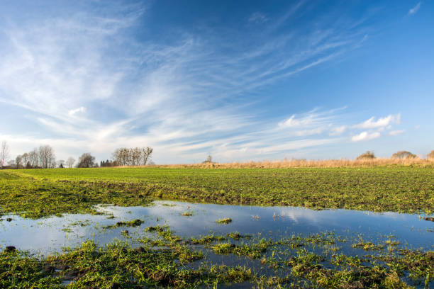 istock Field flooded with water and clouds in the sky 1189734899