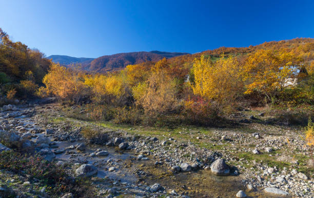 istock Small river and a house in the autumn mountain forest 1189735026
