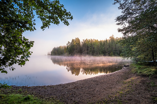 Idyllic sand beach landscape with sunrise light and birch trees at summer morning in National Park Finland