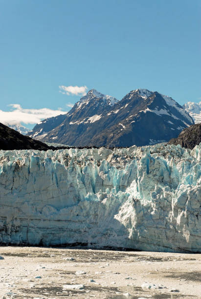istock Glacier Bay National Park 1189746953