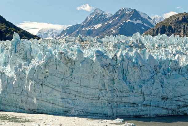 istock Glacier Bay National Park 1189746968