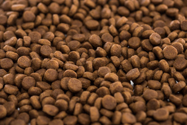 istock brown dry pet food background with copy space 1189748731