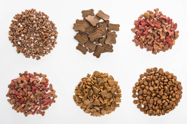 top view of assorted dry pet food in piles isolated on white top view of assorted dry pet food in piles isolated on white dog food photos stock pictures, royalty-free photos & images