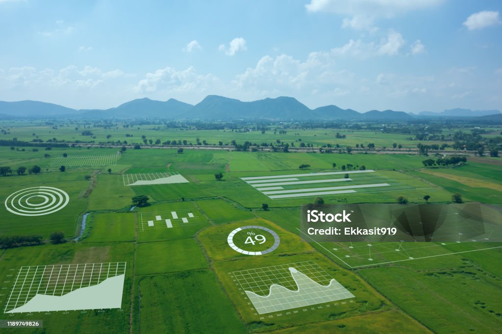 granja inteligente, concepto agrícola, datos de uso de agricultores realidad virtual mixta aumentada integran inteligencia artificial combinan profunda, aprendizaje automático, gemelo digital, 5G, industria 4.0 tecnología para mejorar - Foto de stock de Agricultura libre de derechos