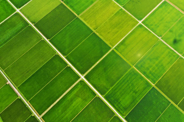 I took an aerial photo with a small drone