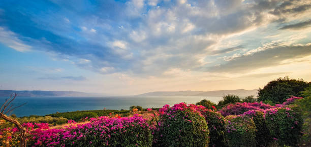 Sea of Galilee Sea of Galilee, Israel galilee photos stock pictures, royalty-free photos & images