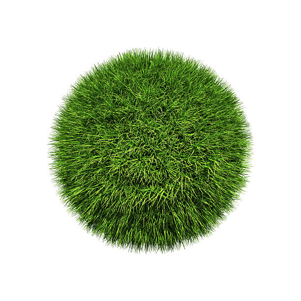 istock Green grass sphere with blurred edges on a white background 118975148