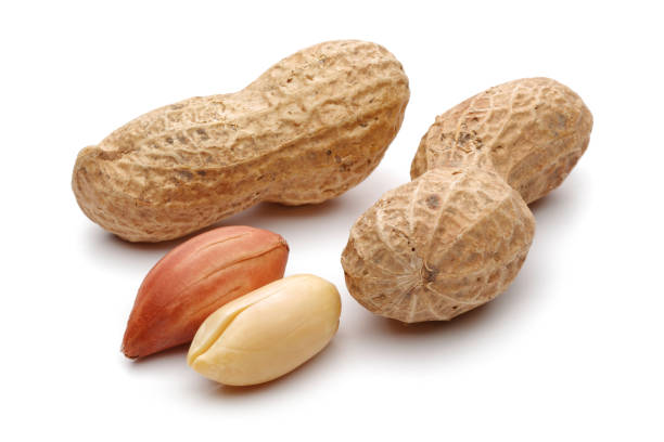 istock Group of peanuts isolated on white 1189753891