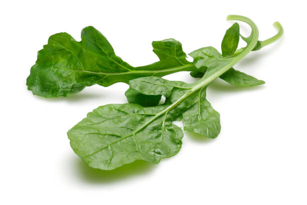 istock Bunch of fresh rucola isolated 1189756590