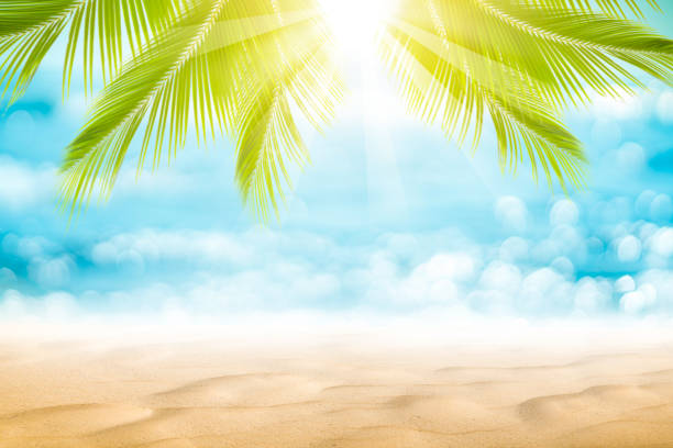 istock Blur beautiful nature green palm leaf on tropical beach with bokeh sun light wave abstract background. 1189757816