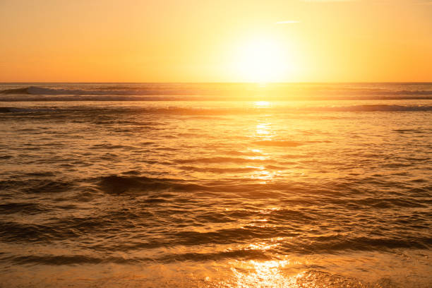 istock Tropical beach with smooth wave and sunset sky abstract background. 1189757849