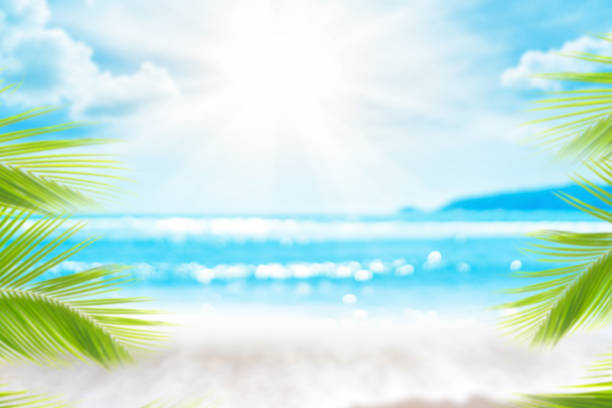 istock Blur beautiful nature green palm leaf on tropical beach with bokeh sun light wave abstract background. 1189758000