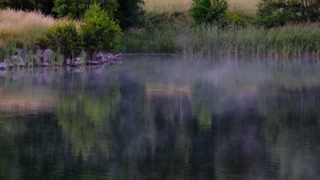 fog sweeping over the water with forest in the background