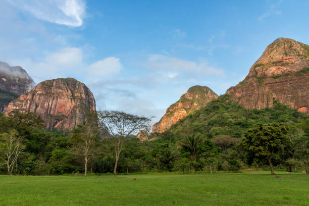 istock Mountain  and forest at Amboro park in Bolivia. 1189759219