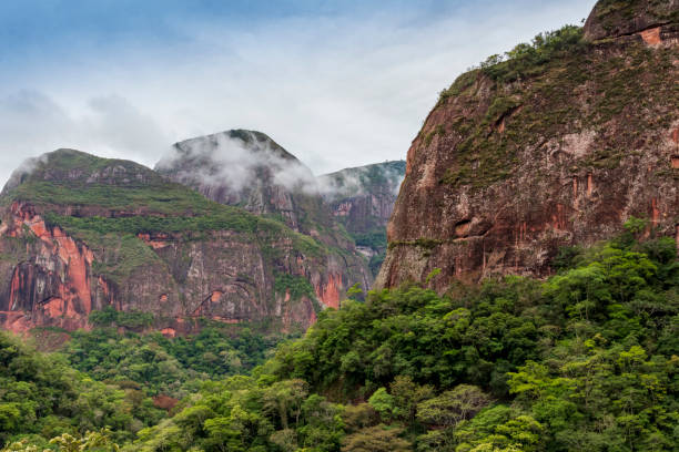 istock Mountain  and forest at Amboro park in Bolivia. 1189759343