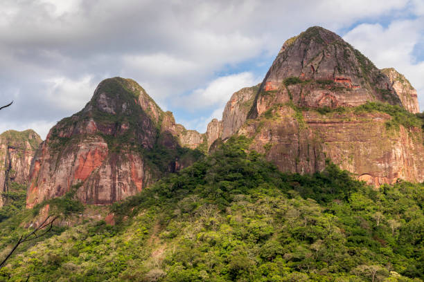 istock Mountain  and forest at Amboro park in Bolivia. 1189759352