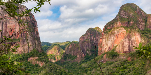 istock Mountain  and forest at Amboro park in Bolivia. 1189759355