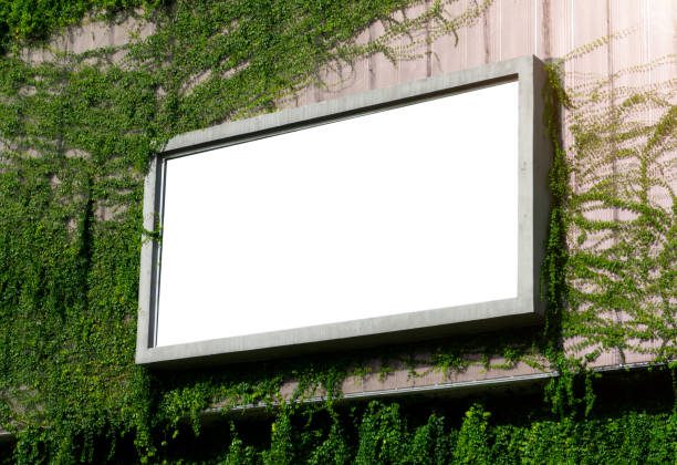 istock White billboard on spring summer green leaves background 1189760713