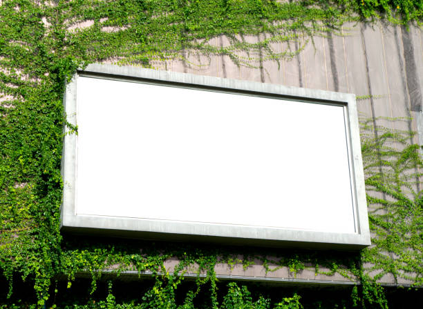 istock White billboard on spring summer green leaves background 1189760717