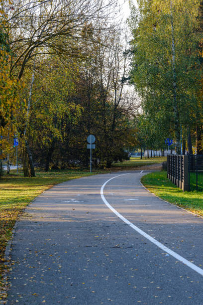 istock countryside road in autumn 1189762409