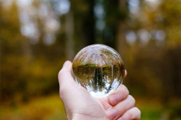 istock male hand holding crystal glass ball against nature background with reflections 1189762425