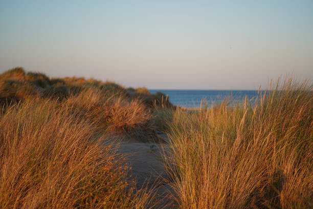 istock Dusk on the beach of Serignan Plage 1189762518