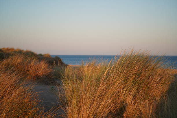 istock Dusk on the beach of Serignan Plage 1189762557
