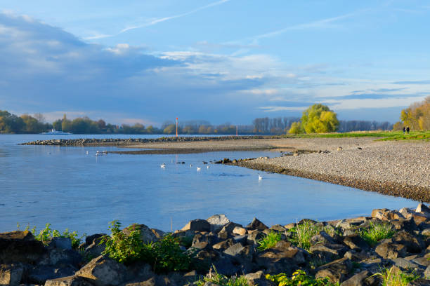 Riverbanks of the Rhine near Zons and Benrath, Cologne, Germany