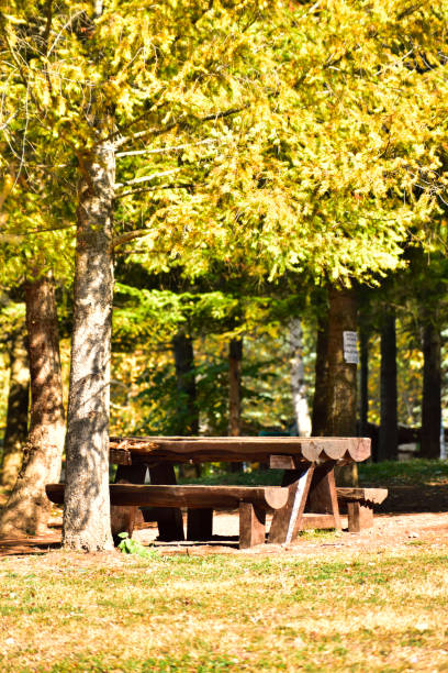 istock picnic table and bench in autumn park 1189762991
