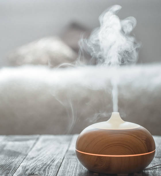 istock Humidifier on the table in the living room. 1189769409
