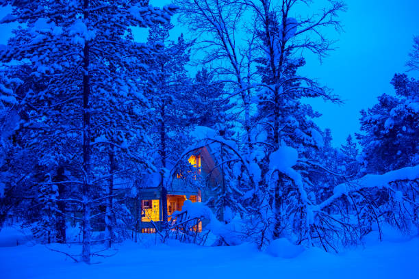 istock Lighted Cottage in the Evening Snowy Forest 1189769991