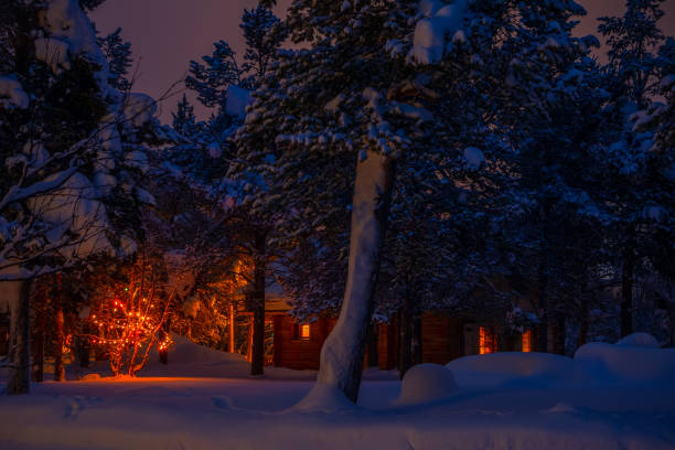 casa de campo iluminada y guirnalda en un bosque nevado nocturno - cabin snow finland lapland fotografías e imágenes de stock