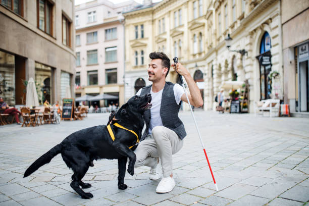 Young blind man with white cane and guide dog on pedestrain zone in city. A young blind man with white cane and guide dog on pedestrain zone in city. famous sight stock pictures, royalty-free photos & images