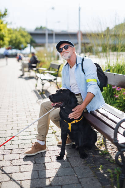 Senior blind man with guide dog sitting on bench in park in city. Senior blind man with guide dog and white cane sitting on bench in park in city. bratislava photos stock pictures, royalty-free photos & images