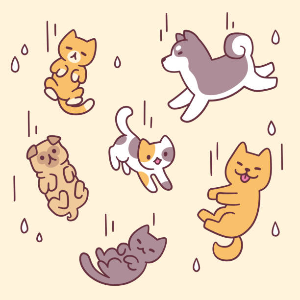 ilustrações, clipart, desenhos animados e ícones de chover canivete - raining cats and dogs