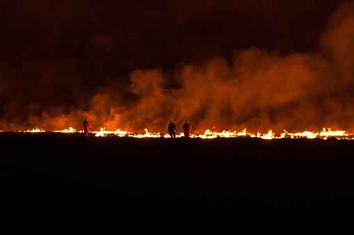 bomberos luchan contra las llamas en la plantación de caña de azúcar photo