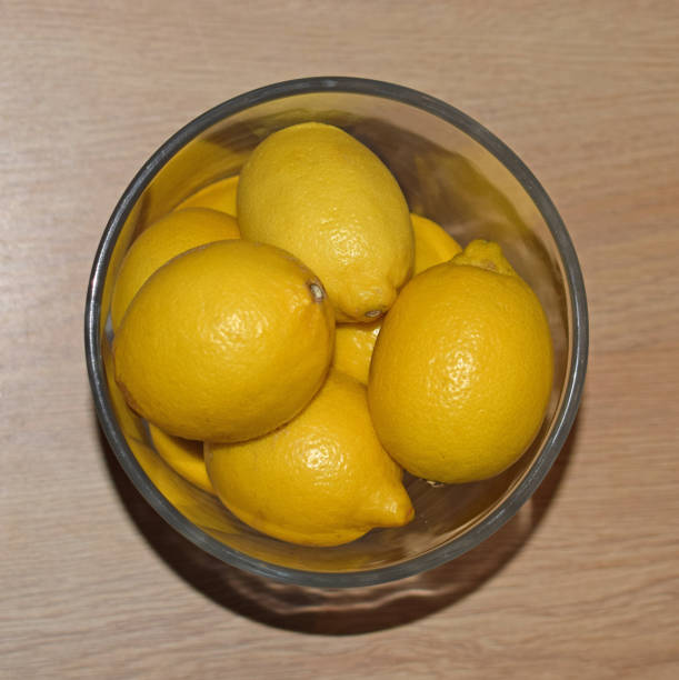 Lemons citrus fruits from trees