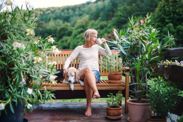 여름에는 테라스에서 야외에 앉아 있는 개와 커피를 가진 선임 여성. - 라이프스타일 뉴스 사진 이미지