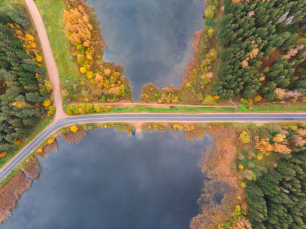 istock Nature in autumn 1189775506