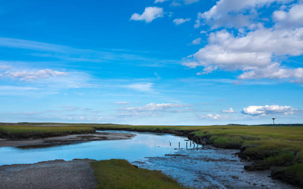 istock Peacefully floating clouds in blue sky over a river running through a green plain 1189776118